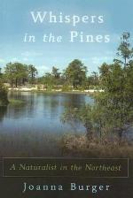 Whispers in the Pines