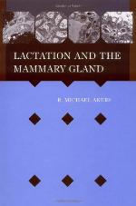 Lactation Mammary Gland
