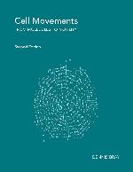Cell Movements