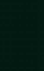 Chinese American Masculinities