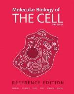 Molecular Biology of the Cell