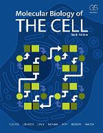 Molecular Biology of the Cell