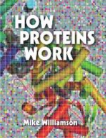 How Proteins Work