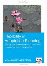 Flexibility in Adaptation Planning