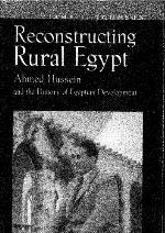 Reconstructing Rural Egypt