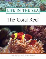 The Coral Reef