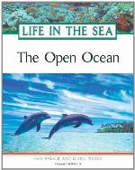 The Open Ocean
