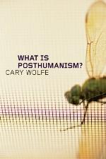 What Is Posthumanism?