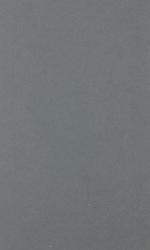 Myths of the Rune Stone