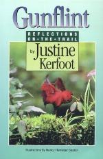 Gunflint : Reflections on the Trail.