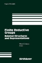 Finite Reductive Groups