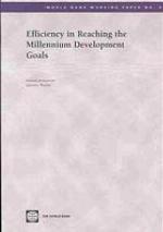 Efficiency in Reaching the Millennium Development Goals