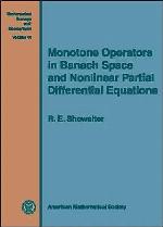 Monotone Operators in Banach Space and Nonlinear Partial Differential Equ..........