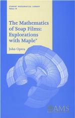 The Mathematics of Soap Films