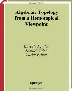 Interactions Between Homotopy Theory and Algebra