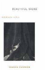 Beautiful Work A Meditation on Pain