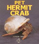 Pet hermit crab
