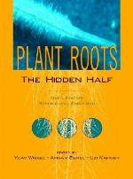 Plant Roots