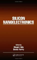 Silicon Nanoelectronics