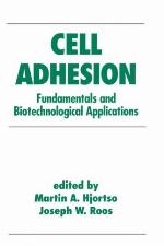Cell Adhesion in Bioprocessing and Biotechnology