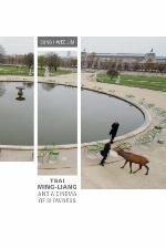 Tsai Ming-Liang and a Cinema of Slowness