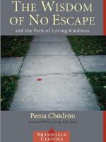 The Wisdom of No Escape