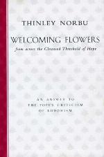 Welcoming flowers from across the cleansed threshold of hope : an answer to Pope John Paul II's criticism of Buddhism
