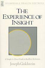 The Experience of Insight