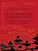 In the Footsteps of Bodhisattvas