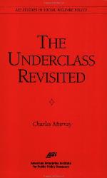 The Underclass Revisited