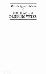 Microbiological Aspects of Biofilms and Drinking Water
