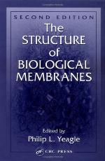 The Structure Of Biological Membranes