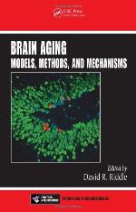 Brain Aging