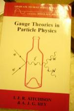 Gauge Theories in Particle Physics, Volume 1