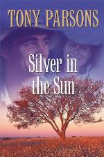 Silver in the Sun