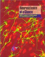 Neuroscience At A Glance