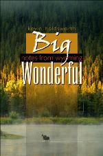 Big Wonderful
