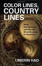 Color Lines, Country Lines: Race, Immigration, and Wealth Stratification in America