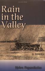 Rain in the valley : a novel