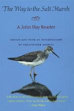 The Way to the Salt Marsh