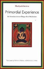 Primordial Experience