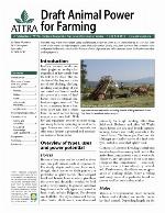 The Draft Horse Primer