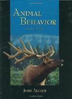 Animal Behavior