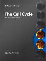 The Cell Cycle