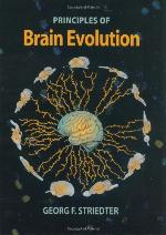 Principles of Brain Evolution