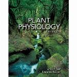 Plant Physiology