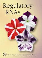 Regulatory Rnas