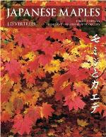 Japanese Maples