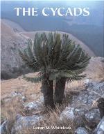 The Cycads