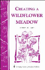 Creating a Wildflower Meadow